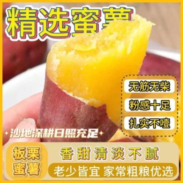 《一件代发》板栗红薯源头供应链，商超，团购批量供应