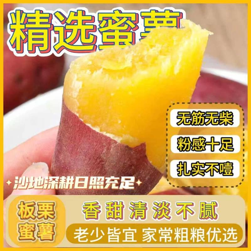 《一件代发》板栗红薯源头供应链，商超，团购批量供应