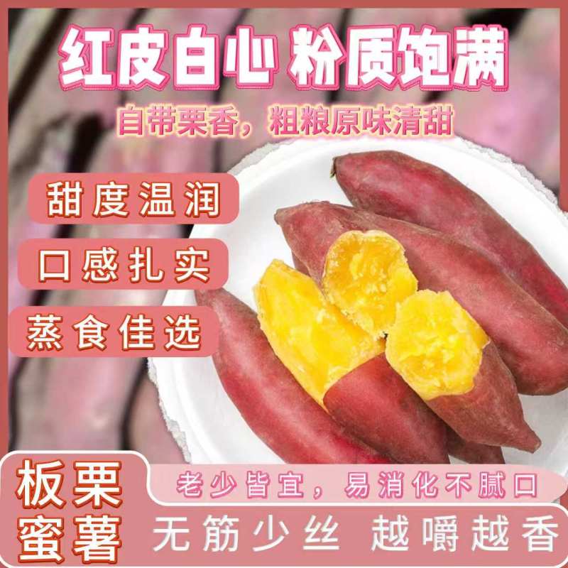 《一件代发》板栗红薯源头供应链，商超，团购批量供应