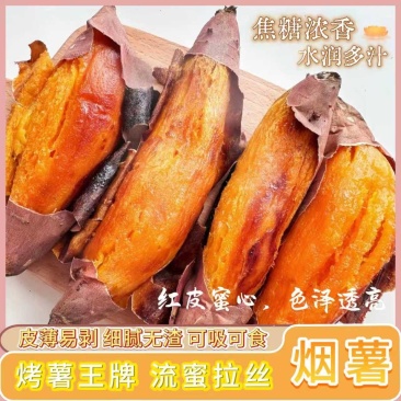 《一件代发》烟薯25源头供应链,商超,团购批量供应