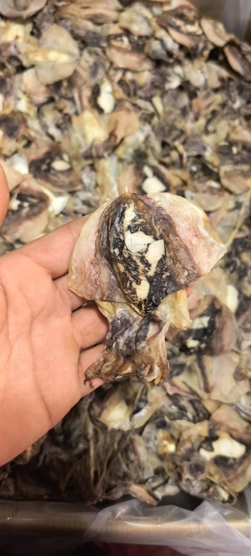 浙江特产明府鲞墨鱼干去内脏日晒海产干货煲汤红烧五花必备