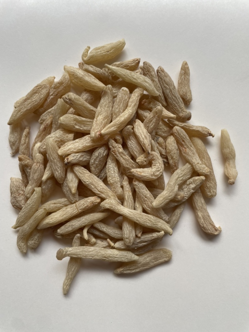 麦冬中药材无硫绵阳川麦冬新货颗粒饱满货干