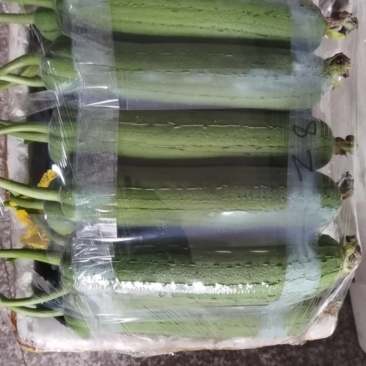 肉丝瓜，白玉丝瓜