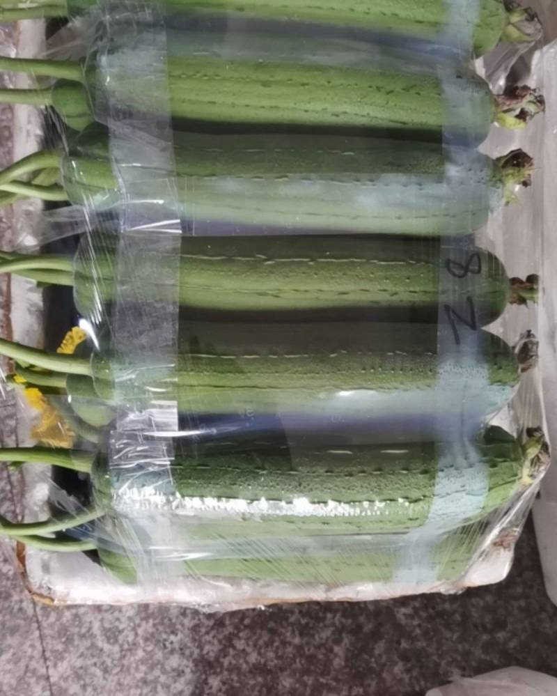 肉丝瓜，白玉丝瓜