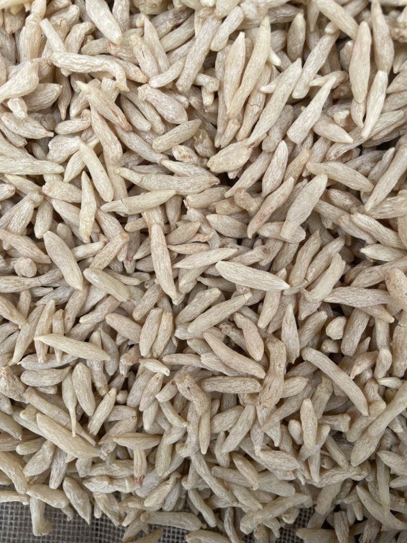 麦冬中药材无硫绵阳川麦冬新货颗粒饱满货干