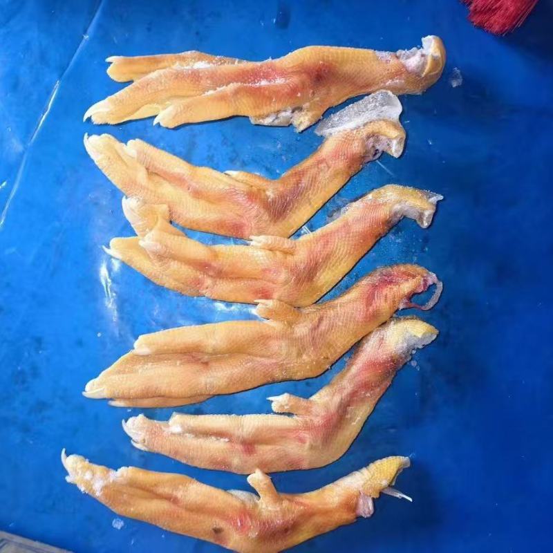 二级黄皮鸭掌3吨
