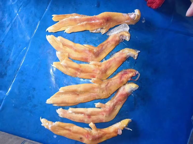 二级黄皮鸭掌3吨