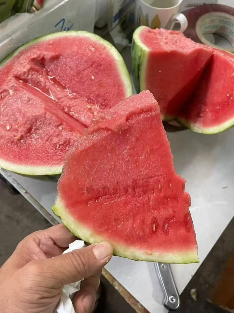 小糖丸西瓜，口感脆甜，皮薄多汁，糖分足，价格美丽