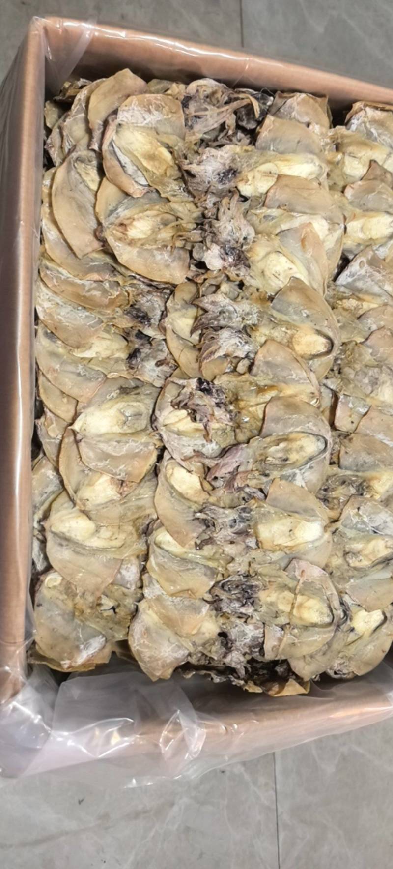浙江本港墨鱼35-40个一斤当季新货味道鲜美煲汤红烧必备
