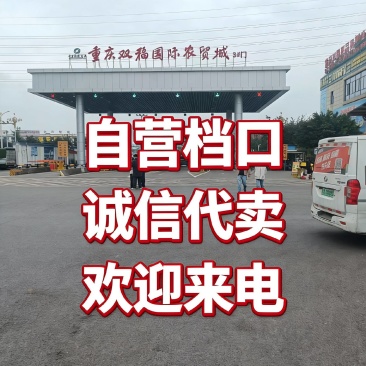 重庆双福市场代卖，自己档口诚信经营，欢迎来电洽谈合作