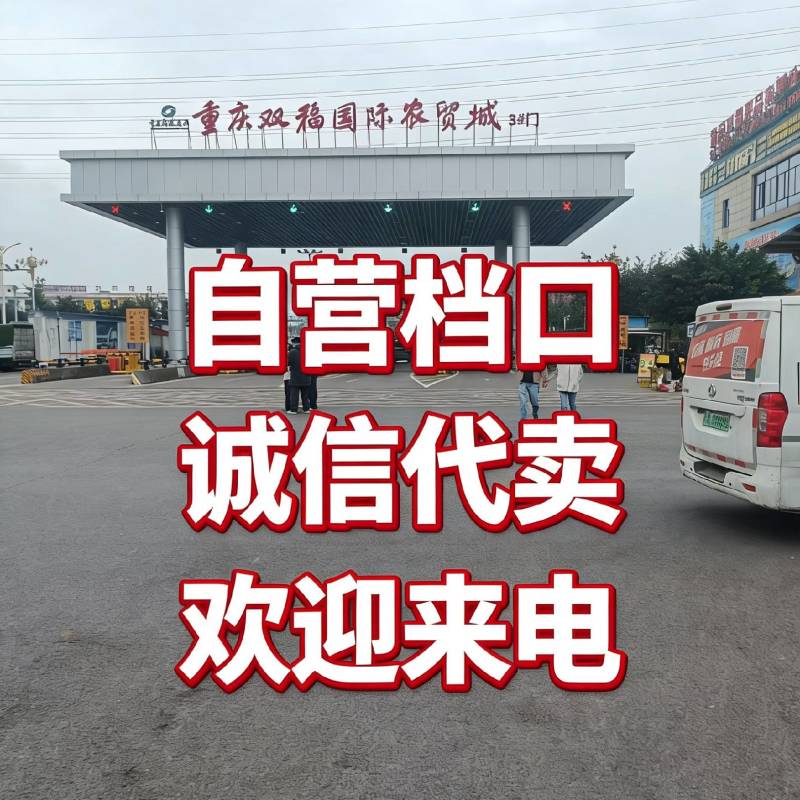 重庆双福批发市场代卖，自己档口诚信代卖