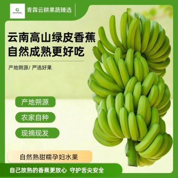 云南高山绿皮香蕉红河州个旧市蔓耗镇果园直供产地源头供应链