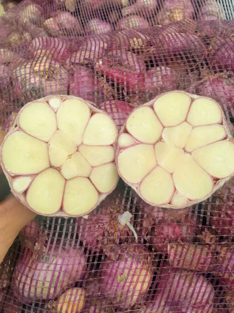 新鲜大蒜