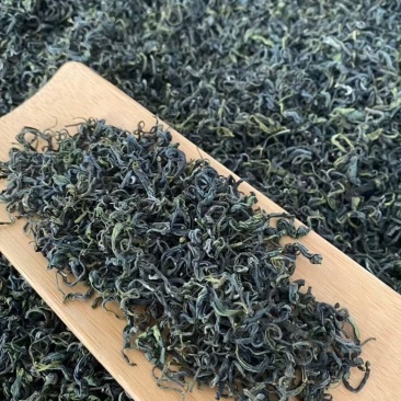 日照绿茶