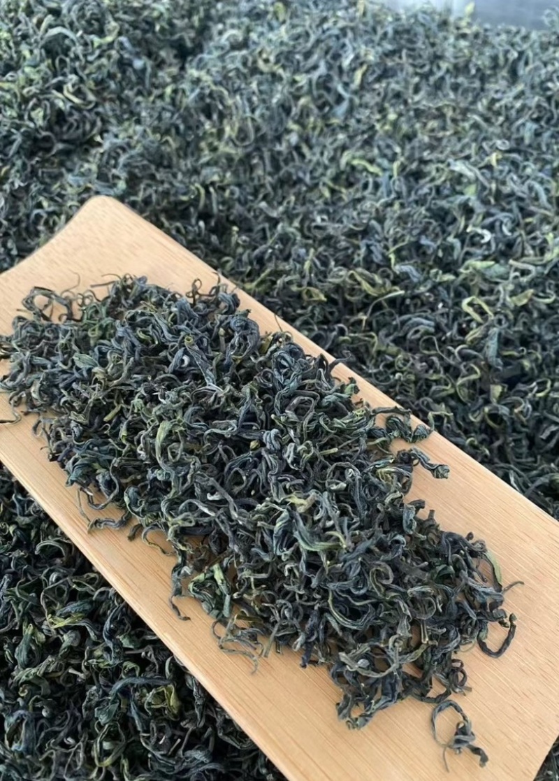日照绿茶