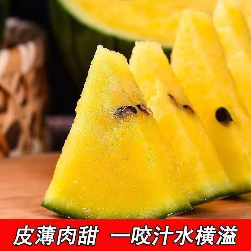 特小凤西瓜黄瓤西瓜皮薄超甜产地直供新鲜现摘批发量大优惠