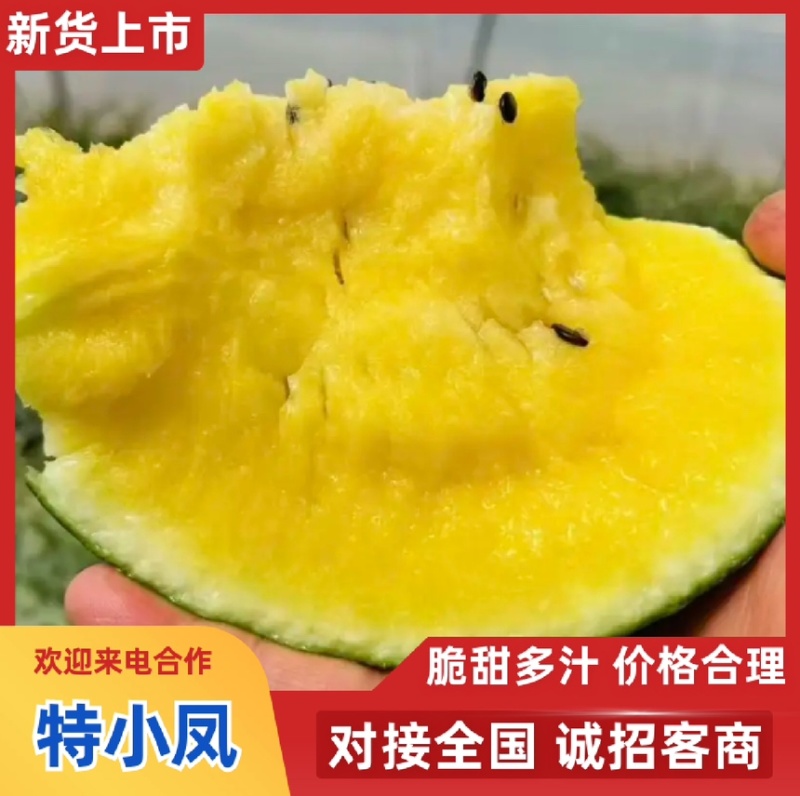 特小凤西瓜黄瓤西瓜皮薄超甜产地直供新鲜现摘批发量大优惠