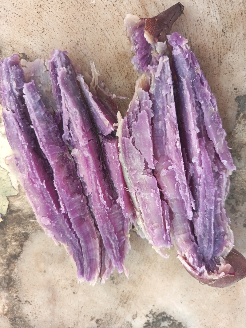 沙地彩色蕃薯