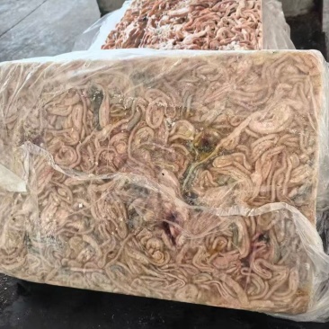 鸭原肠有1车1000+一吨