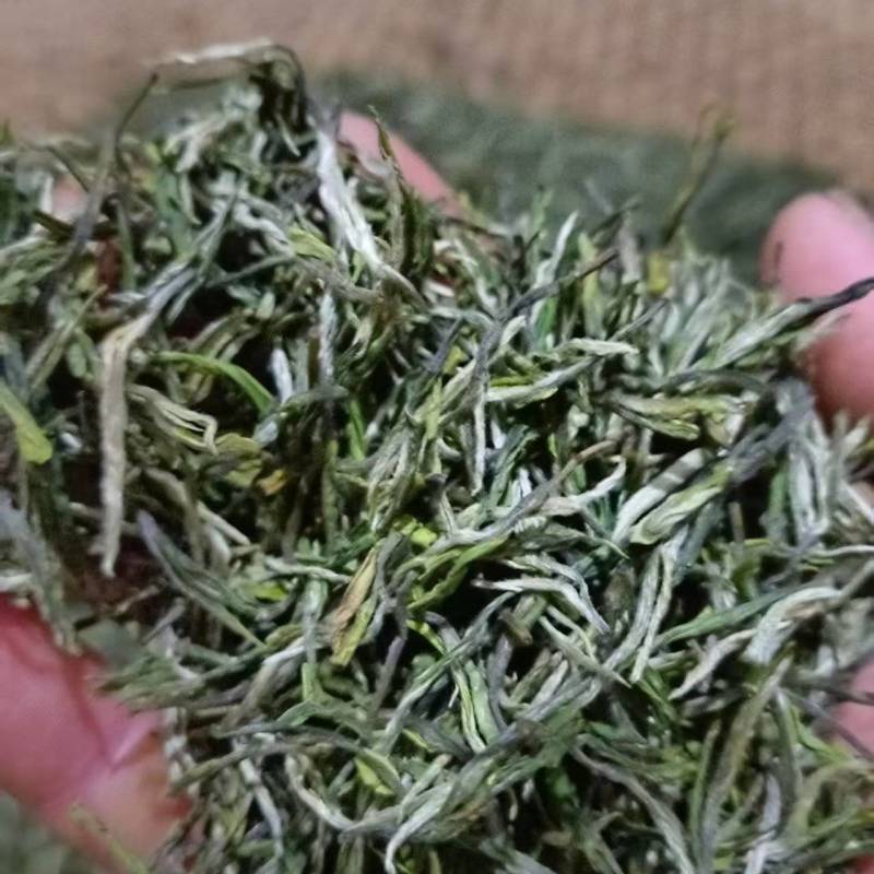 茶叶高山云雾新枝茶叶色泽好口感佳价格便宜欢迎老板联系