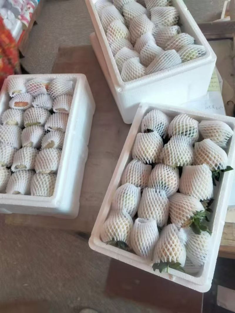 奶油草莓