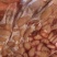 鸡腰子