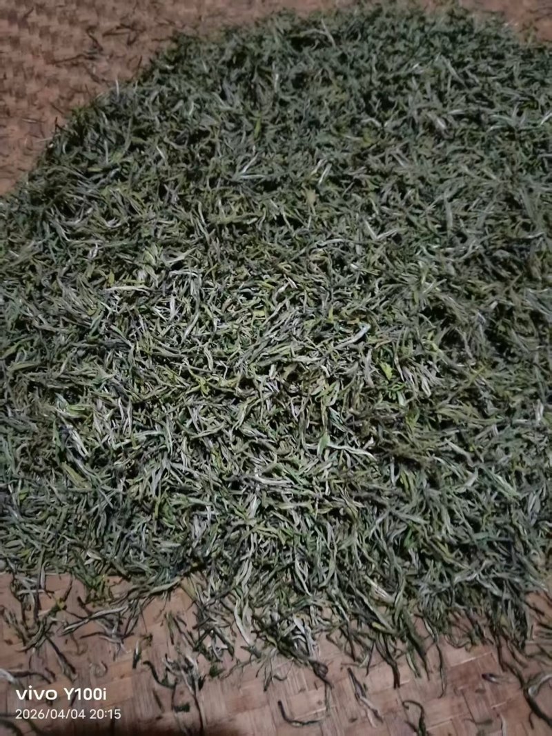 茶叶高山云雾新枝茶叶色泽好口感佳价格便宜欢迎老板联系