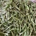 一点红油豆紫花豆货源充足量大从优品质保证欢迎联系