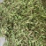 一点红油豆紫花豆货源充足量大从优品质保证欢迎联系