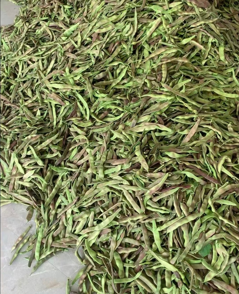 一点红油豆紫花豆货源充足量大从优品质保证欢迎联系