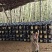 深海鱼蛋白，特添加氨基酸多肽，高含量有机质，量大从优，厂