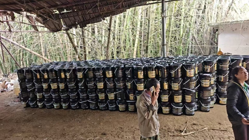深海鱼蛋白，特添加氨基酸多肽，高含量有机质，量大从优，厂