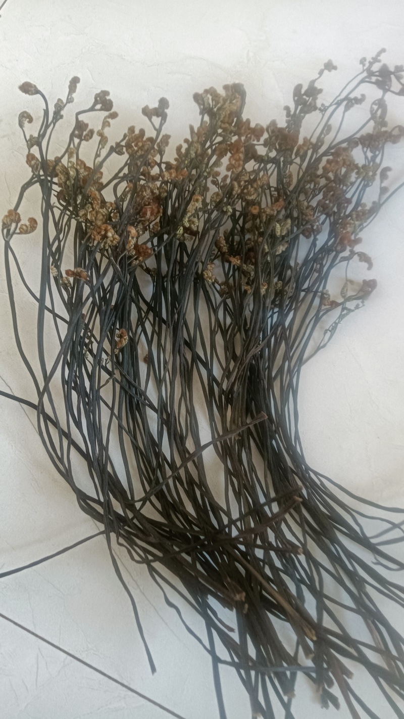 纯野生蕨菜，原生态，传统工艺加工，厂家直销，价格优惠，