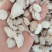 白芍统货无硫道地药材实拍图关书药业专注品质如图所示