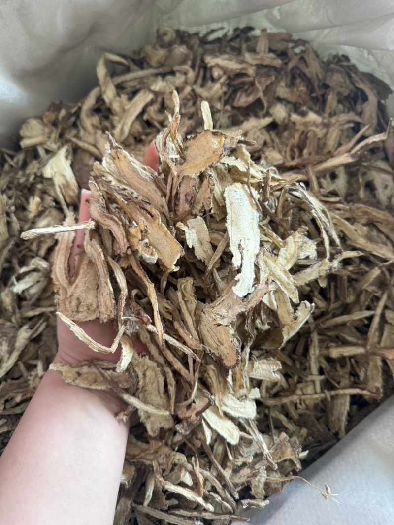 当归切片纯干货颜色好产地甘肃直销货源充足