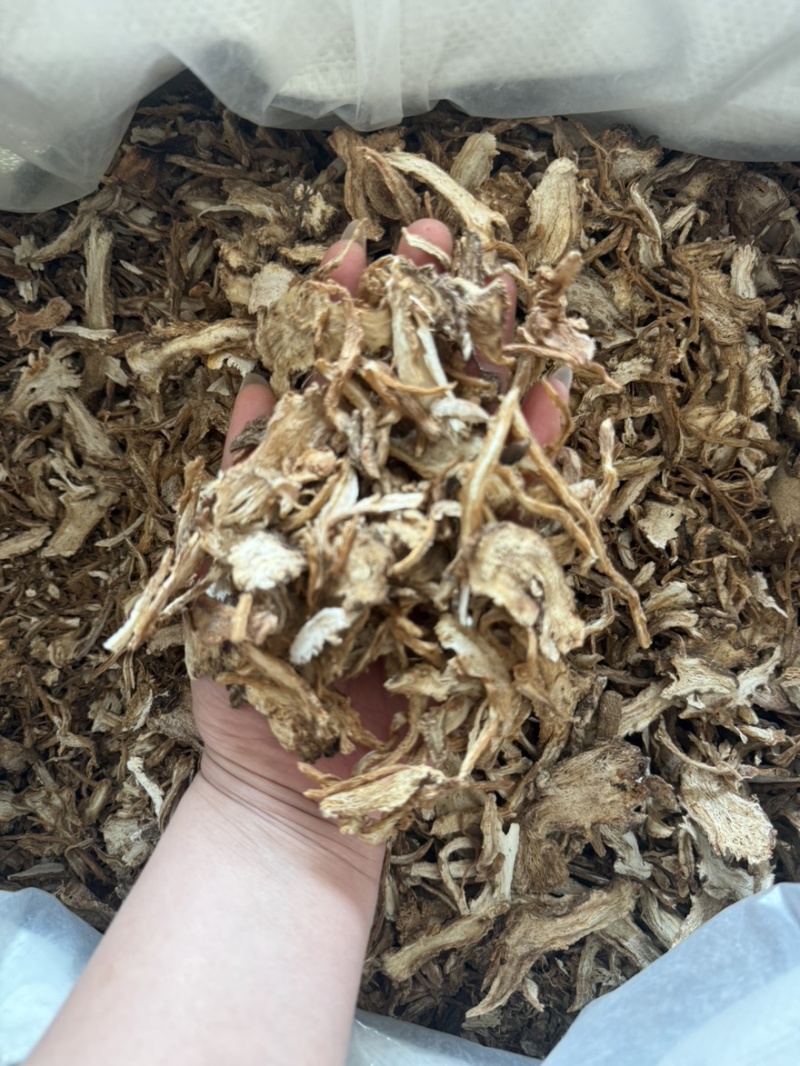 当归切片纯干货颜色好产地甘肃直销货源充足