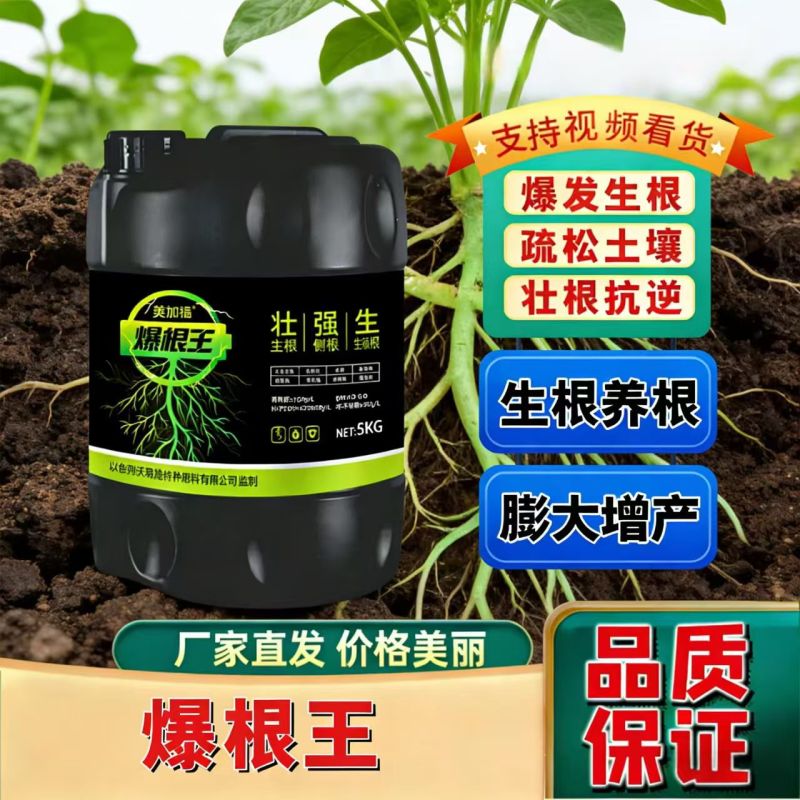 爆根王-爆发生根，壮根抗逆，源头厂家，欢迎咨询来电