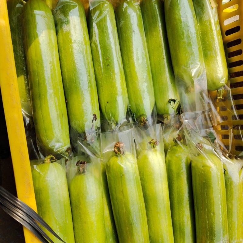 菜瓜