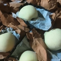 山东奶油富士苹果红富士