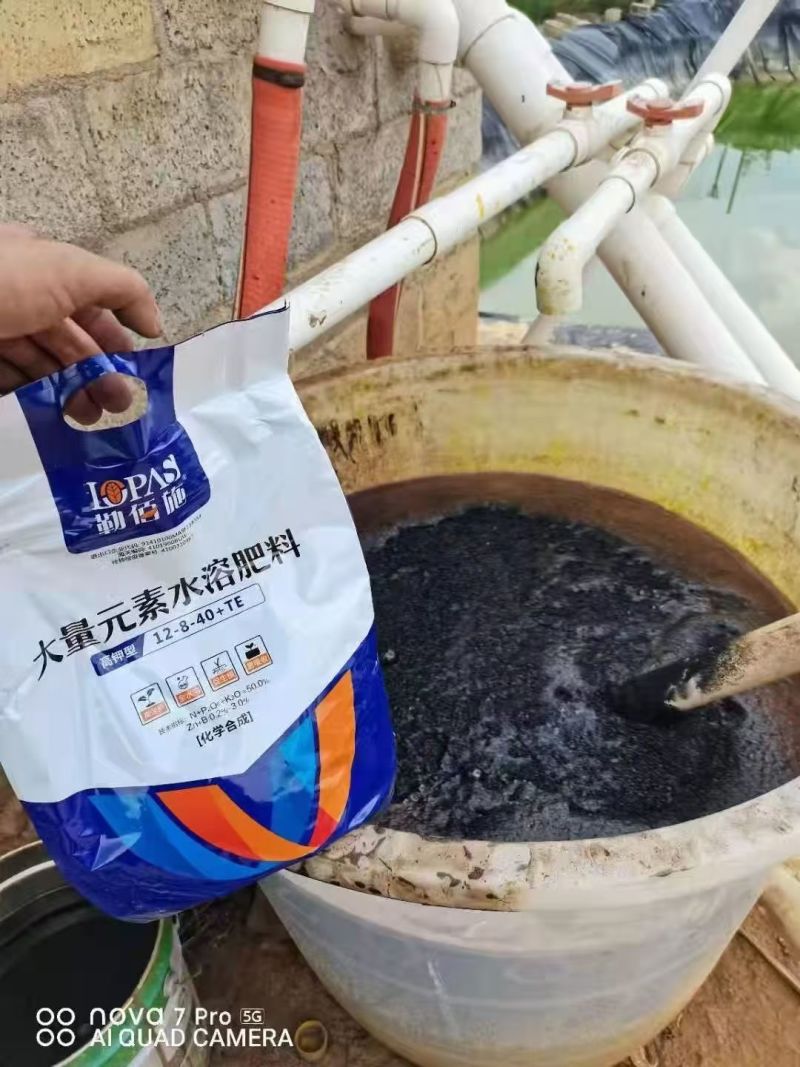 勒佰施高钾水溶肥作物花芽饱满，坐果率高，膨果迅速，色泽鲜