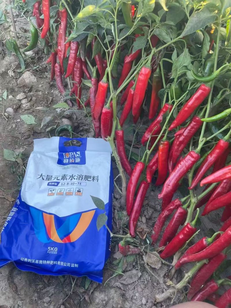 勒佰施高钾水溶肥作物花芽饱满，坐果率高，膨果迅速，色泽鲜