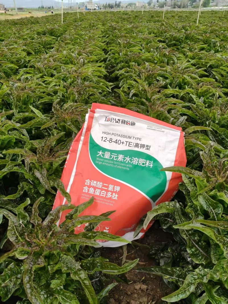 勒佰施高钾水溶肥作物花芽饱满，坐果率高，膨果迅速，色泽鲜