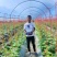 高氮水溶肥-源头厂家量大从优欢迎咨询