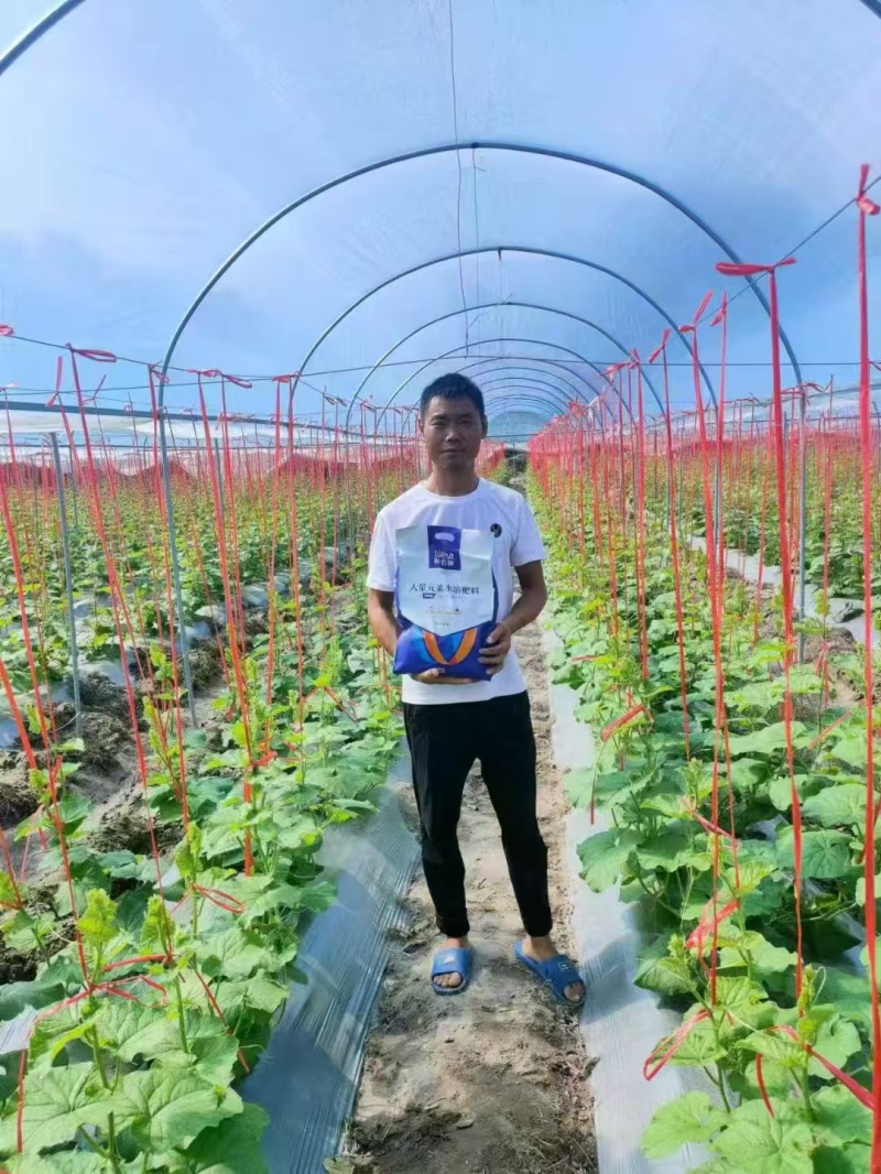 高氮水溶肥-源头厂家量大从优欢迎咨询