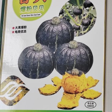 贝贝南瓜！大量供应！质量有保证！