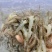 新鲜河虾