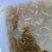 新鲜河虾