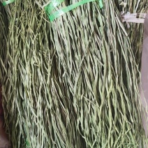 云南大理鲜货干货贡菜
