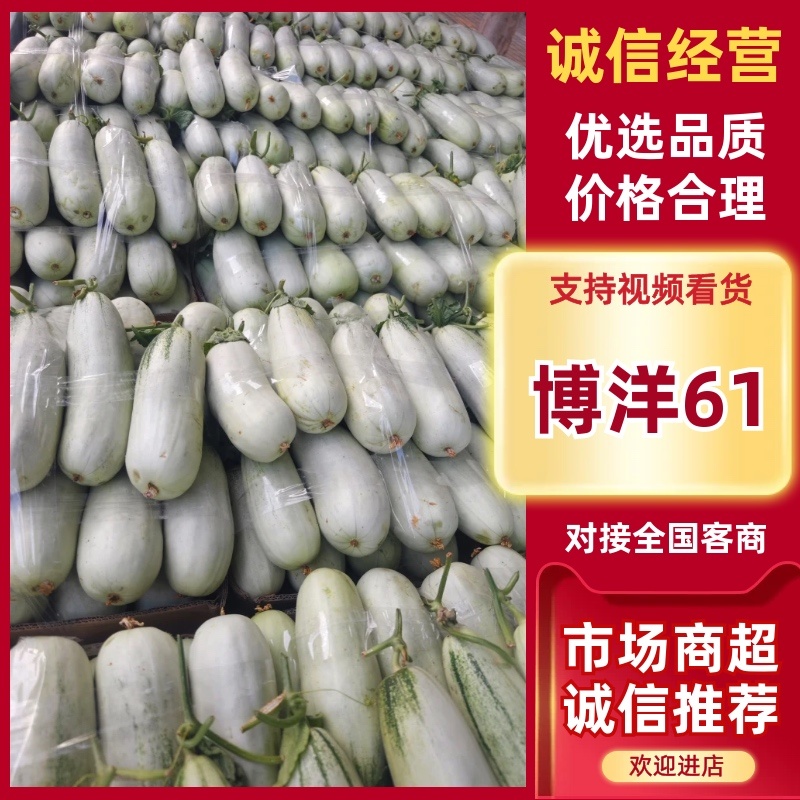 内黄县羊角蜜甜瓜口感香酥脆甜产地直销现货供应
