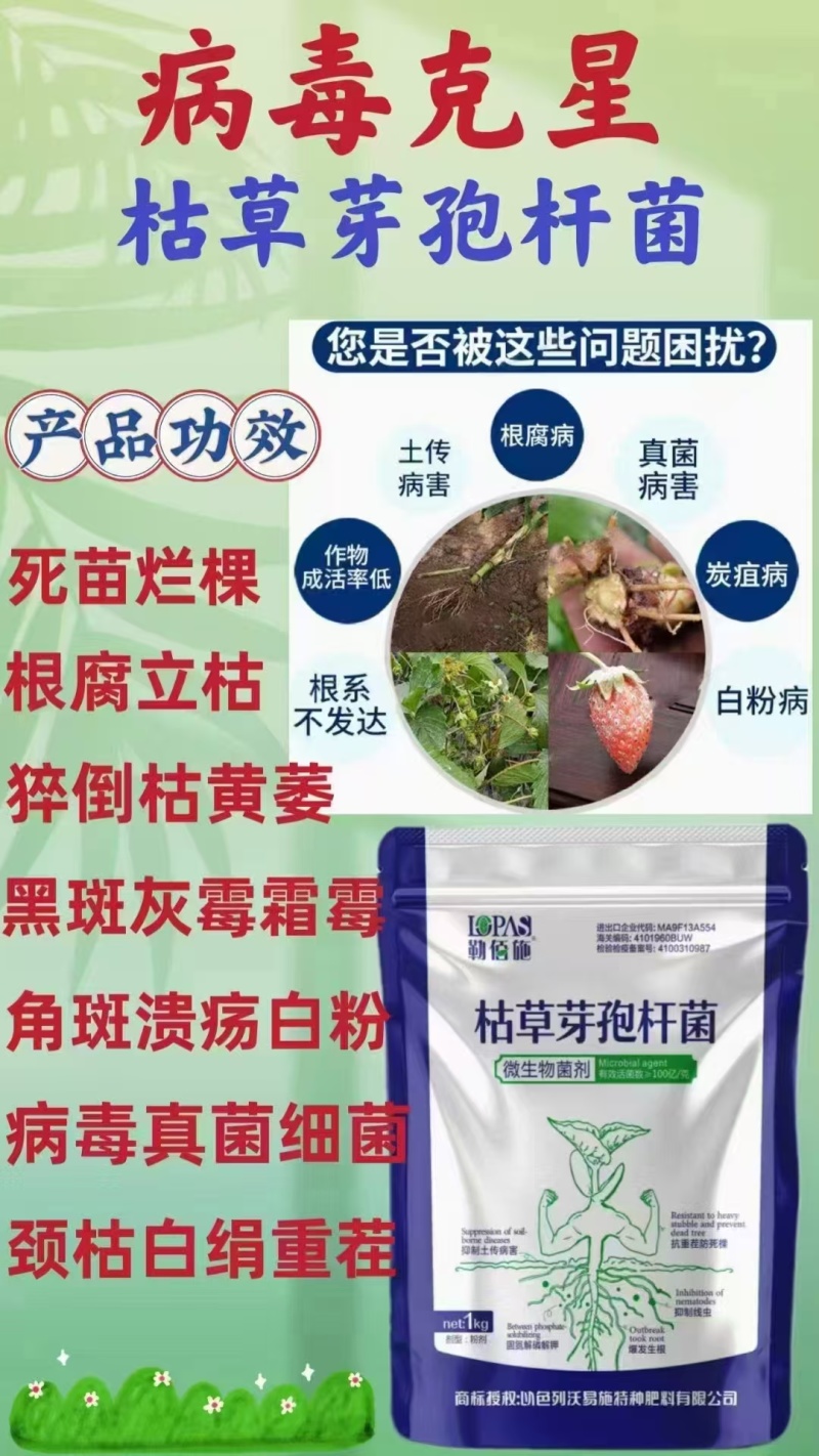 枯草芽孢杆菌，病毒克星工厂直供，欢迎咨询来电